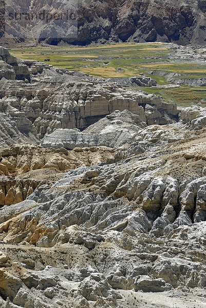 Canyonlandschaft um den Sutley Fluss mit grünen Feldern für Gerste und Rapsanbau im alten Königreich Guge in Westtibet  Himalaya  Provinz Ngari  Tibet  China  Asien
