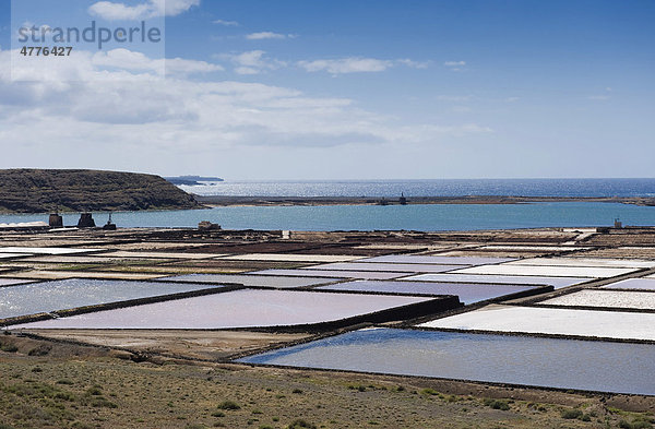 Meersalzgewinnung  Saline  Salinas de Janubio  Lanzarote  Kanarische Inseln  Spanien  Europa