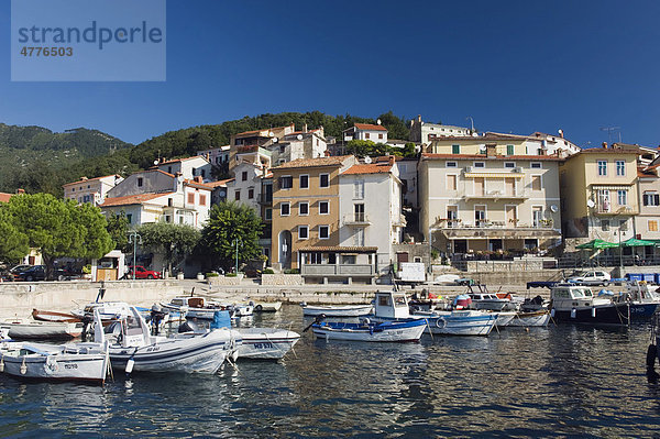 Fischerboote im Hafen von Moscenicka Draga  Istrien  Kroatien  Europa