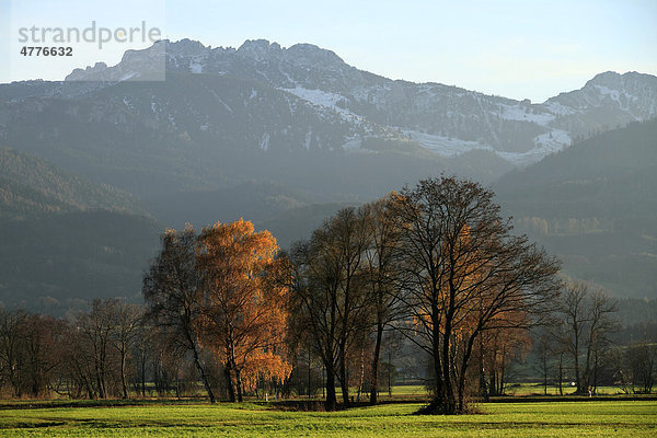 Herbstlandschaft an der Kampenwand  Chiemgau  Oberbayern  Bayern  Deutschland  Europa