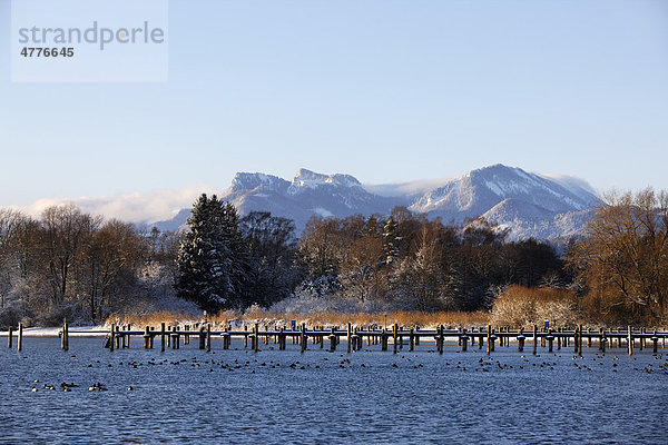 Winterlandschaft mit Blick über den Chiemsee auf die Hochries  Chiemgau  Oberbayern  Bayern  Deutschland  Europa