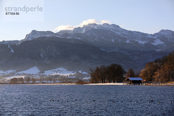 Winterlandschaft mit Blick über den Chiemsee auf die Kampenwand  Chiemgau  Oberbayern  Bayern  Deutschland  Europa