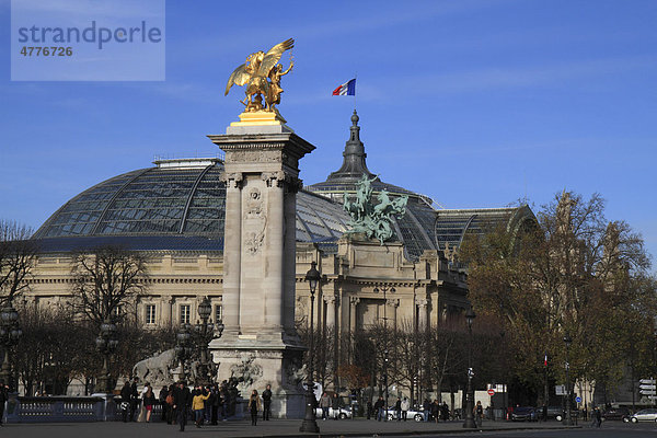 Grand Palais  Paris  Frankreich  Europa