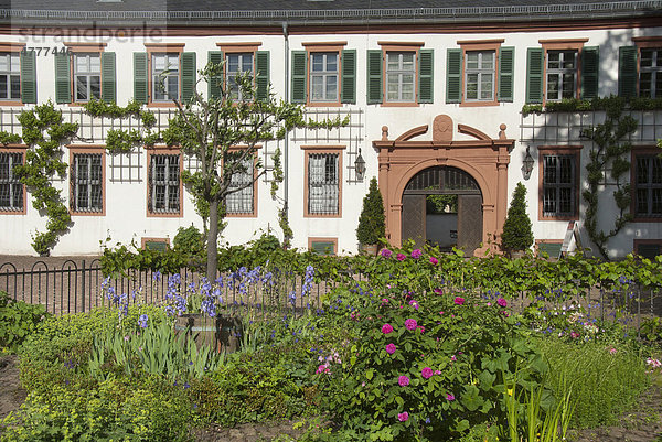 Blumen im Klosterhof  Klostergarten  Engelsgärtchen  Basilika St. Marcellinus und Petrus  Einhard-Basilika  ehemaliges Kloster der Benediktiner  Seligenstadt  Hessen  Deutschland  Europa