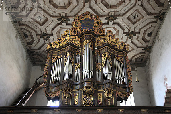 Orgel im Kirchenschiff des Karmelitenklosters in Bad Neustadt an der Saale  Rhön-Grabfeld  Unterfranken  Bayern  Deutschland  Europa