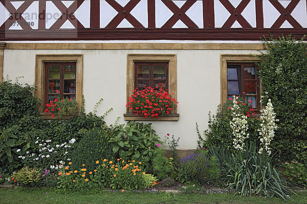 Bauerngarten vor einem Fachwerkbauernhaus  Landkreis Lichtenfels  Oberfranken  Bayern  Deutschland  Europa