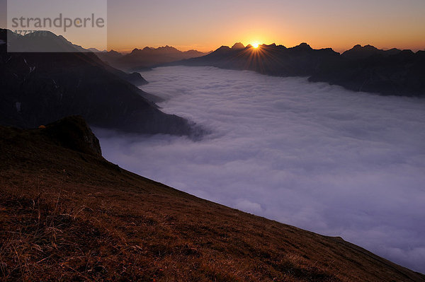 Gebirgstal unter Nebel mit Berggipfeln im Abendlicht  Allgäuer Alpen  Kleinwalsertal  Vorarlberg  Österreich  Europa