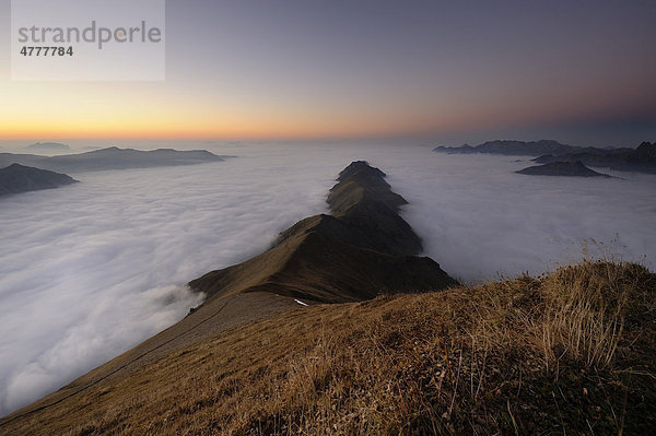 Gebirgstal unter Nebel mit Berggipfeln im Abendlicht  Allgäuer Alpen  Kleinwalsertal  Vorarlberg  Österreich  Europa