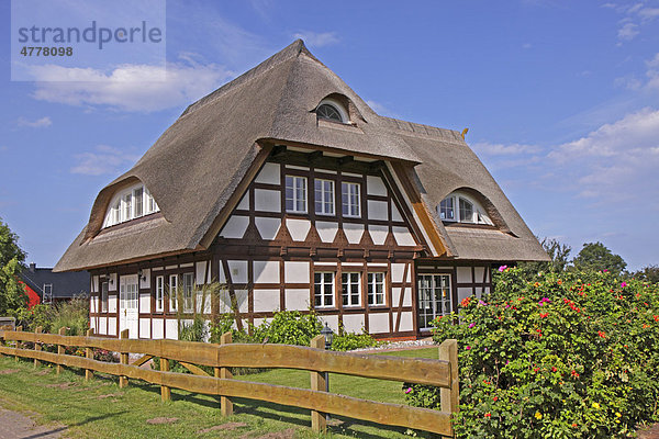 Reetdachhaus  Grüssow  Insel Usedom  Ostsee  Mecklenburg-Vorpommern  Deutschland  Europa