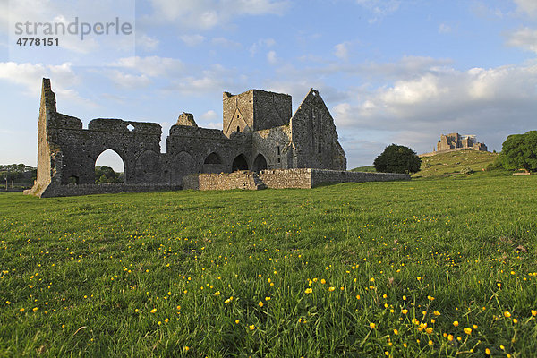 Hore Abbey und Rock of Cashel  Cashel  County Tipperary  Irland  Europa