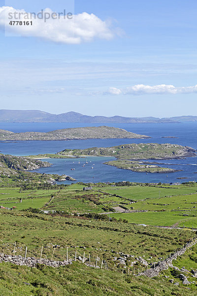 Blick auf Ballinskelligs Bay  Ring of Kerry  Irland  Europa