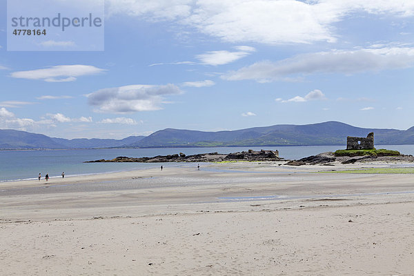 Strand bei Ballinskelligs  Ring of Kerry  Irland  Europa