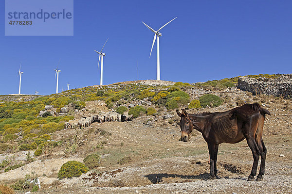 Windkraftwerke bei Koronos  Insel Naxos  Kykladen  Ägäis  Griechenland  Europa