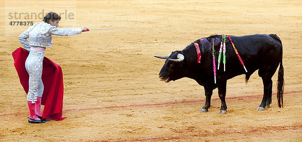Torero  Matador mit Stier vor dem Todesstoß mit dem Degen in der Stierkampfarena Plaza de Toros de la Maestranza in Sevilla  Andalusien  Spanien  Europa