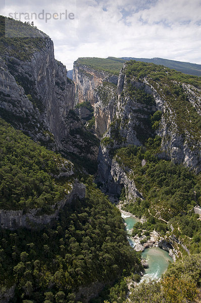 Verdon Fluss  Gorges du Verdon  Provence  Frankreich  Europa
