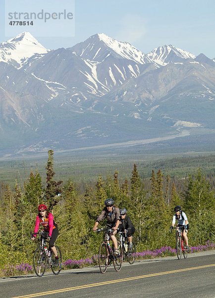 Radfahrer am Kluane Chilkat International Bike Relay  Radrennen von Haines Junction im Yukon Territory  Kanada  nach Haines  Alaska  USA  St. Elias Gebirgszug hinten