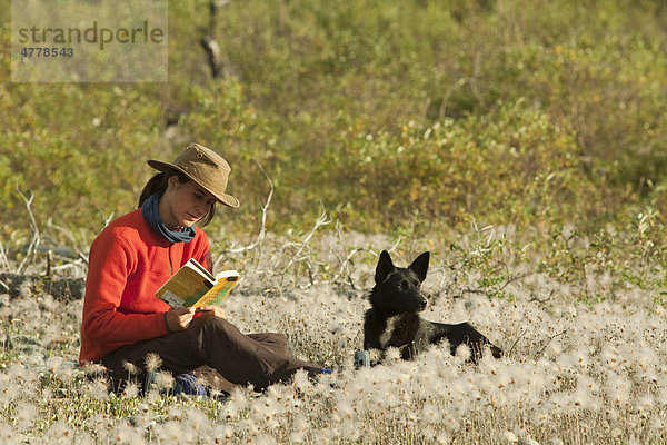 Junge Frau sitzt entspannt im Gras  Wollgras  und liest ein Buch  ihr Hund  ein Alaskan Husky  sitzt daneben  Wind River  Yukon Territory  Kanada