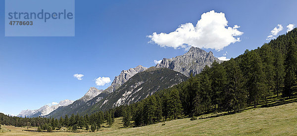Hochmoorebene an dem schwarzen See Lai Nair bei Tarasp und Vulpera  Scuol  Unterengadin  Graubünden  Schweiz  Europa