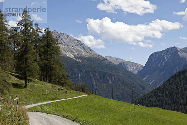 Berglandschaft  Wiesen und sonniger Weg im Unterengadin  Graubünden  Schweiz  Europa