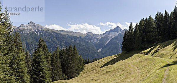 Berglandschaft mit Tannen und Almwiesen  Blick zum Piz S-chalembert und Piz Lischana bei Vn·  Unterengadin  Graubünden  Schweiz  Europa