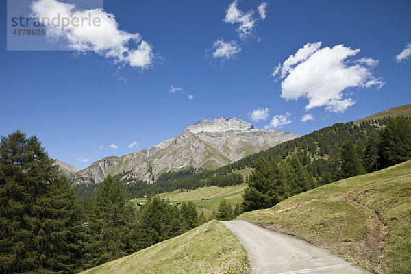 Berglandschaft  Wiesen und sonniger Weg im Unterengadin  Alp Griosch  Graubünden  Schweiz  Europa