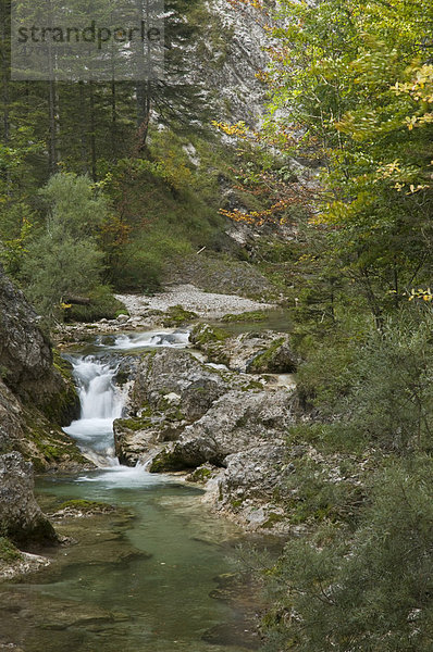Naturschutzgebiet Ötschergraben in Mitterbach am Erlaufsee  Niederösterreich  Österreich  Europa