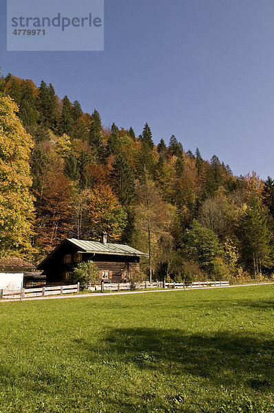 Herbststimmung am Alpenrand mit Holzhaus  Kreuth  Oberbayern  Bayern  Deutschland  Europa Holzhaus
