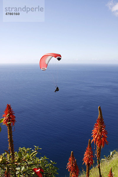 Gleitschirmflieger  Madalena do Mar  Madeira  Portugal  Atlantik  Europa