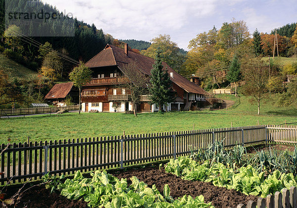 Bauernhof und Bauerngarten bei Wolfach im Schwarzwald  Baden-Württemberg  Deutschland  Europa