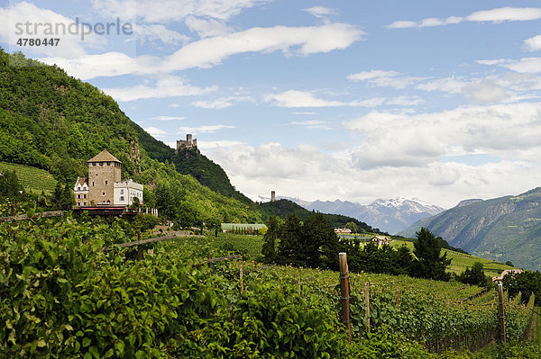 Schloss Korb und Boymont bei St. Pauls bei Eppan  Burggrafenamt  Südtirol  Italien  Europa