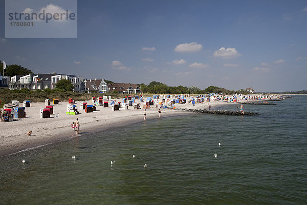 Küste und Strand  Ostseebad Hohwacht  Hohwachter Bucht  Ostseeküste  Schleswig-Holstein  Deutschland  Europa