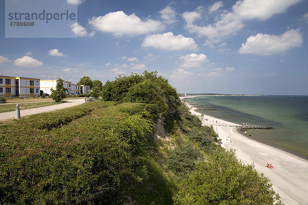 Steilküste und Strand  Ostseebad Hohwacht  Hohwachter Bucht  Ostseeküste  Schleswig-Holstein  Deutschland  Europa
