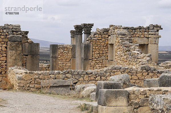 Archäologische Ausgrabung der antiken römischen Stadt Volubilis  UNESCO-Weltkulturerbe  Marokko  Afrika
