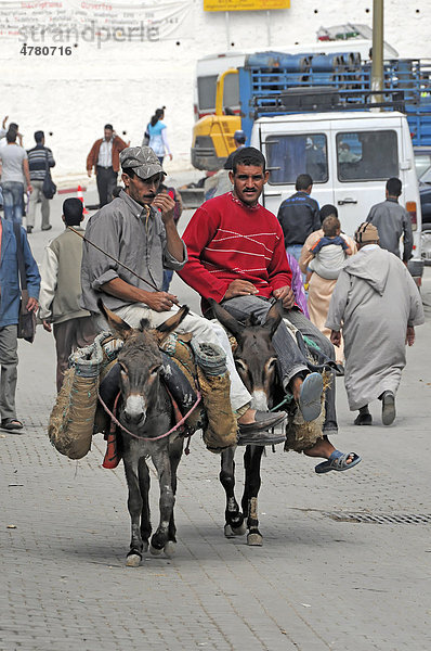 Männer auf Eseln unterwegs in der Medina  Moulay Idris  Marokko  Afrika