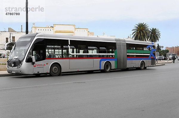 Stadtbus  Linienbus  Asilah  Marokko  Afrika