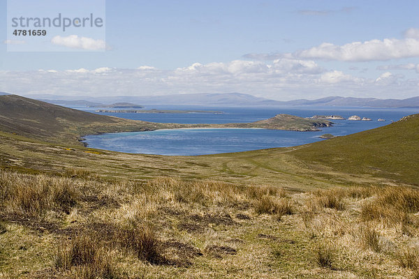 Port Pattison Bay auf Carcass Island  Falkland Inseln  Südatlantik