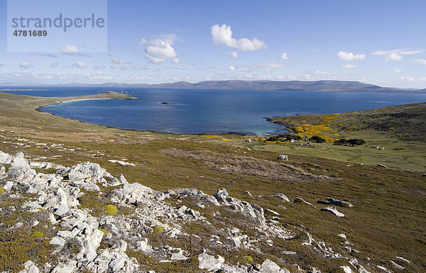 Port Pattison Bay auf Carcass Island  Falkland Inseln  Südatlantik