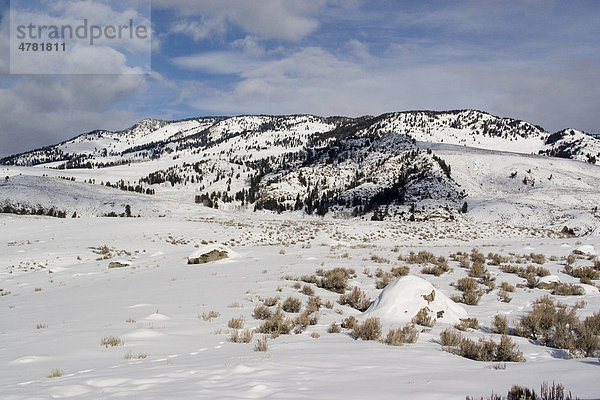 Verschneite Landschaft  Yellowstone-Nationalpark  USA