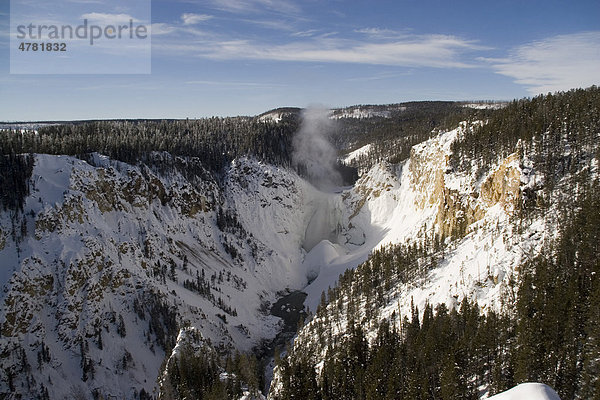 Lower Falls  Wasserfälle des Yellowstone Rivers  Yellowstone-Nationalpark  Wyoming  USA  Nordamerika
