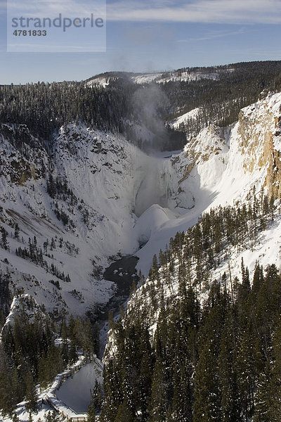 Lower Falls  Wasserfälle des Yellowstone Rivers  Yellowstone-Nationalpark  Wyoming  USA  Nordamerika