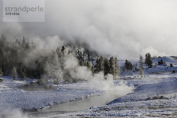 Dampf steigt auf  geothermische Aktivitäten  Upper Geyser Basin  Yellowstone-Nationalpark  Wyoming  USA  Nordamerika