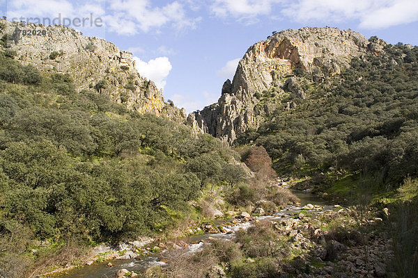 Sierras de las Villuercas Ibores Naturpark  Extremadura  Spanien  Europa