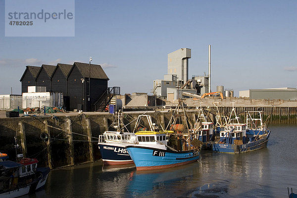 Hafen mit Fischerbooten  Whitstable  Kent  England  Großbritannien  Europa