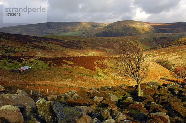 Blick auf eine Moorlandschaft  Hareden Fell  Forest of Bowland  Lancashire  England  Großbritannien  Europa