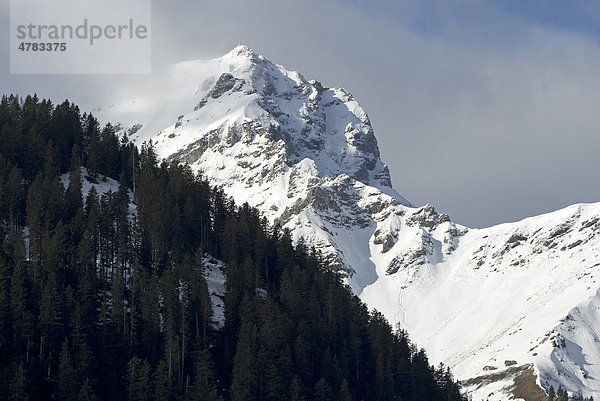 Schneebedeckter Berg und Wald  VallÈe d'Abondance  Chatel  Französische Alpen  Frankreich  Europa