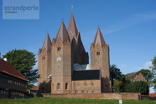 For Frue Kirke  Marienkirche  Kalundborg  Seeland  Dänemark  Europa