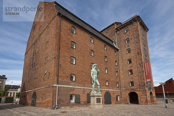 Den Konigligen Afstöbningsamlingen  mit David-Statue  Kopenhagen  Dänemark  Seeland  Europa