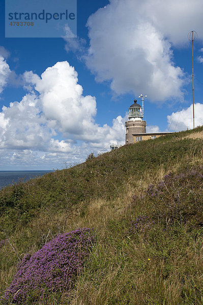 Kullaberg  Naturschutzpark und Leuchtturm  Mölle  Skane  Schweden  Europa
