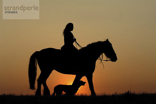 Reiterin mit Hund vor Sonnenuntergang