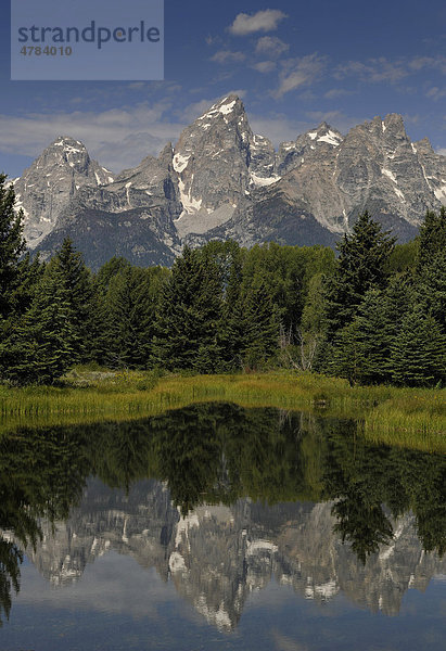 Snake River Fluss  Schwabacher Landing  vor Teton Range Bergkette  Grand Teton National Park Nationalpark  Wyoming  Vereinigte Staaten von Amerika  USA